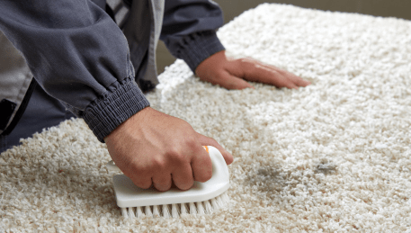 Professional Rug Cleaning Ivanhoe